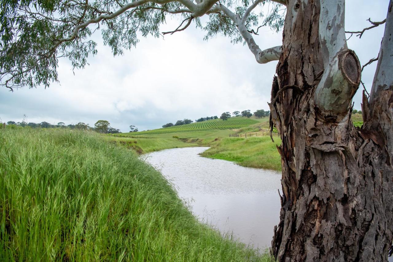 Triple Creek Guest House - Barossa Region Seppeltsfield Eksteriør billede
