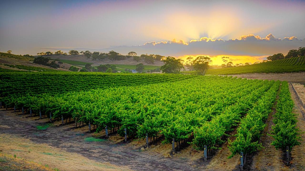 Triple Creek Guest House - Barossa Region Seppeltsfield Eksteriør billede