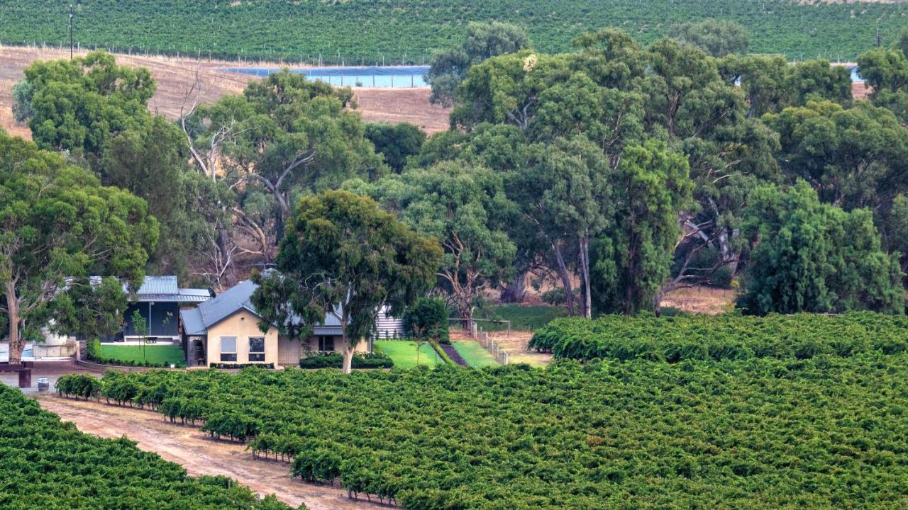 Triple Creek Guest House - Barossa Region Seppeltsfield Eksteriør billede